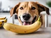 Can Dogs Eat a Banana? A Comprehensive Guide