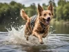 How to Control Your Dog When Camping: A Comprehensive Guide