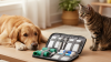 Assembling a Pet Emergency First Aid Kit
