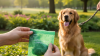 Choosing Biodegradable Waste Bags for Pets