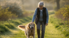 Gentle Exercise for Aging Dog Joints