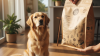 Identifying Allergens in Your Pet's Food