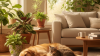 Identifying Safe Indoor Plants for Pets