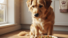 Novel Protein Diets for Sensitive Pets