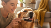 Brushing Your Pet's Teeth Technique