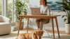 Enrichment Toys for Anxious Remote Worker Pets