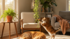 Popular Pet-Safe Indoor Plant Varieties