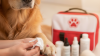 Treating Minor Wounds on Your Pet